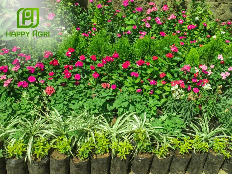 Dùng cho hoa kiểng và nhiều loại cây trồng khác