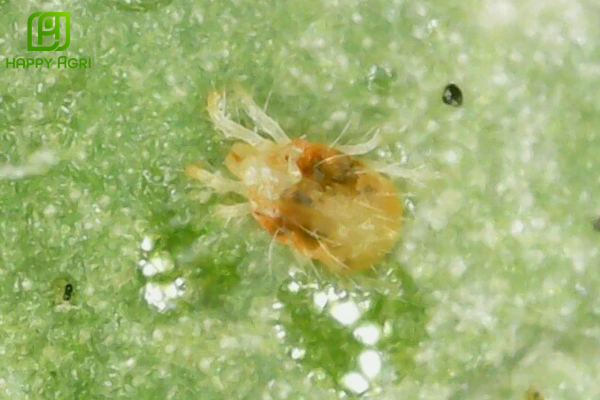 Câu hỏi thường gặp