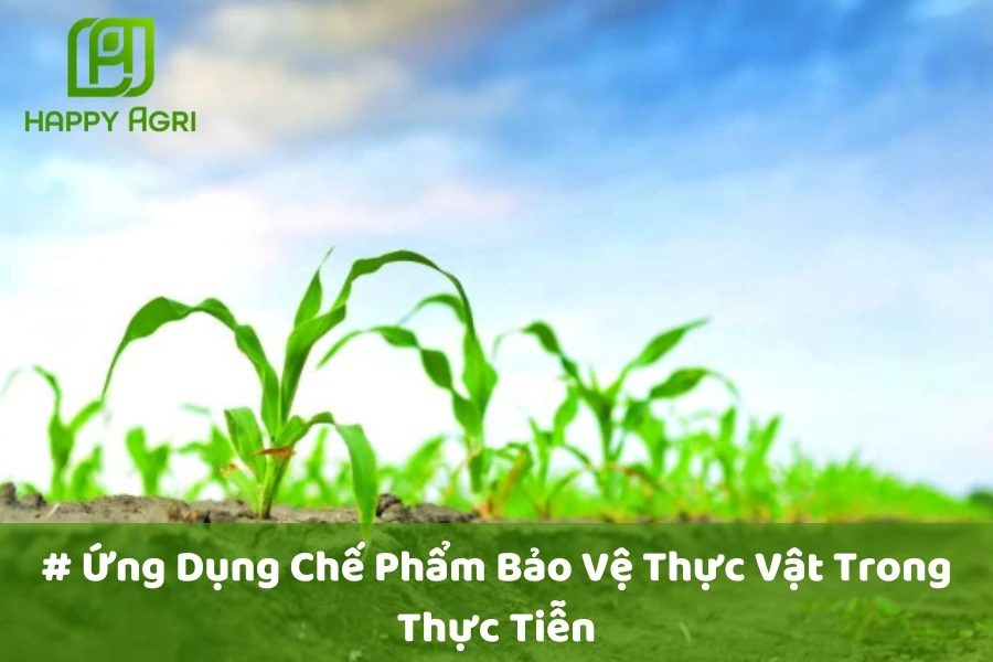 # Ứng Dụng Chế Phẩm Sinh Học Bảo Vệ Thực Vật Trong Thực Tiễn