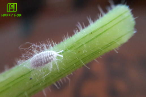 4. Câu hỏi thường gặp