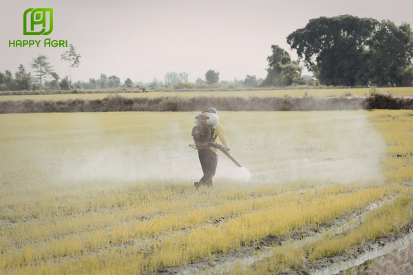 Hướng dẫn sử dụng thuốc SC để đạt hiệu quả tối đa