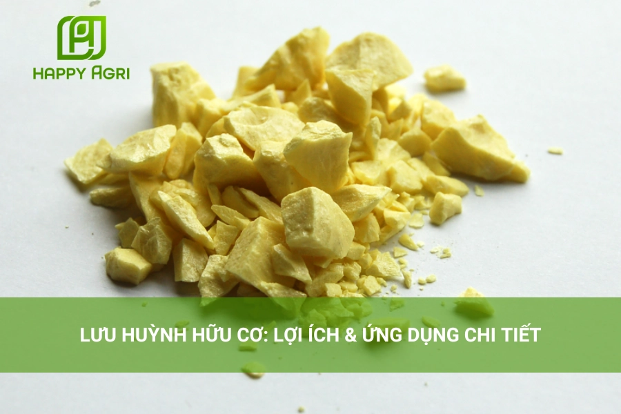 Lưu Huỳnh Hữu Cơ: Lợi Ích & Ứng Dụng Chi Tiết