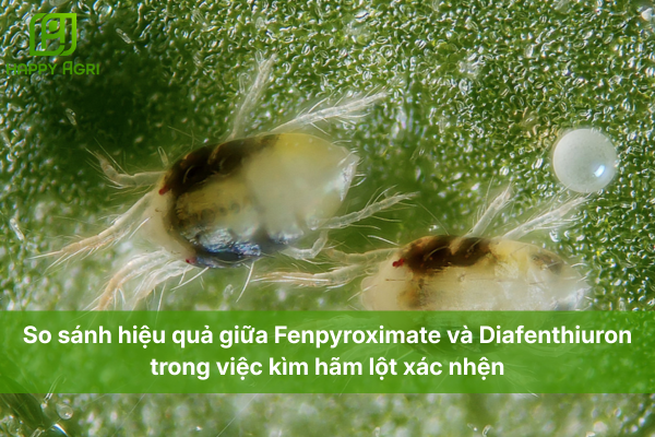 So sánh hiệu quả giữa Fenpyroximate và Diafenthiuron trong việc kìm hãm lột xác nhện.