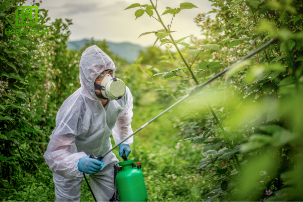 Hướng dẫn sử dụng và kỹ thuật phun để sạch nhện 100%