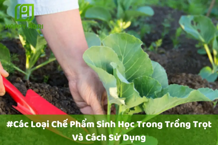 #Các Loại Chế Phẩm Sinh Học Trong Trồng Trọt Và Cách Sử Dụng