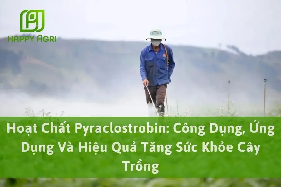Hoạt Chất Pyraclostrobin: Công Dụng, Ứng Dụng Và Hiệu Quả Tăng Sức Khỏe Cây Trồng
