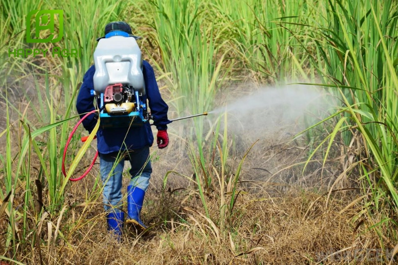 Khử trùng là bước thiết yếu nhằm tiêu diệt mầm bệnh