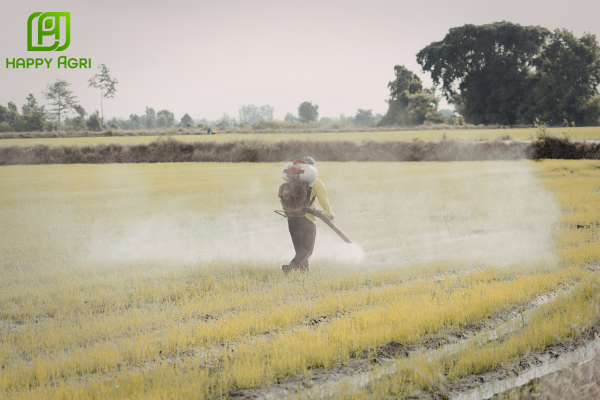 Câu hỏi thường gặp