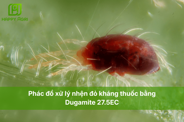  Phác đồ xử lý nhện đỏ kháng thuốc bằng Dugamite 27.5EC: Sự cộng hưởng của 3 hoạt chất mạnh nhất.