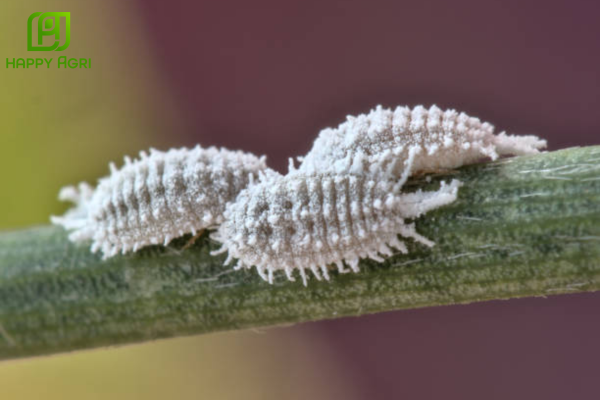 Câu hỏi thường gặp