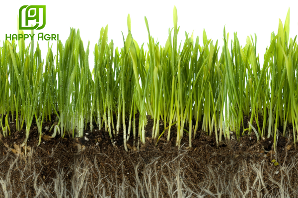 Công dụng Phân bón lá sinh học đa lượng HUMIC NÔNG hiệu HUMIC HAPPY