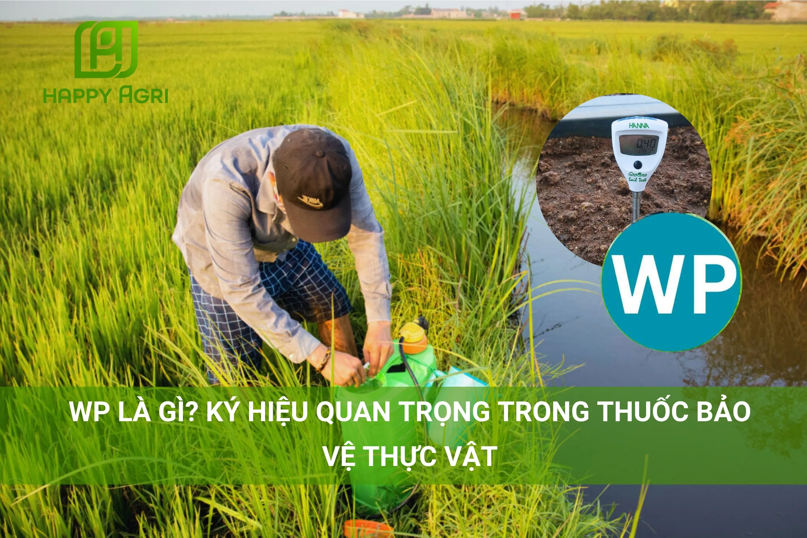 WP LÀ GÌ? KÝ HIỆU QUAN TRỌNG TRONG THUỐC BẢO VỆ THỰC VẬT