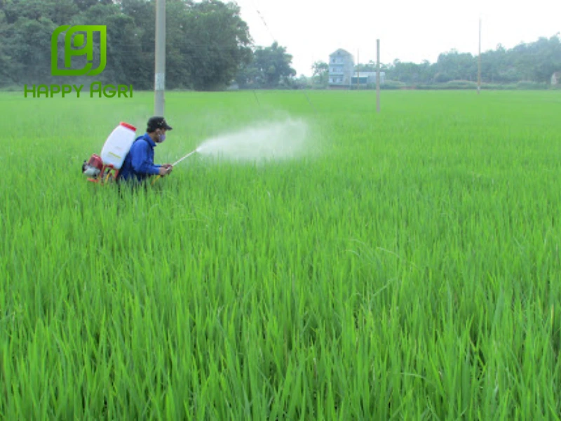 biện pháp phòng trừ sâu bệnh mùa mưa
