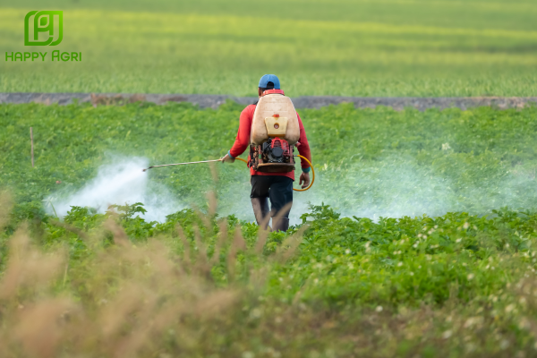 Hướng dẫn sử dụng Khắc Trùng Đan an toàn và hiệu quả