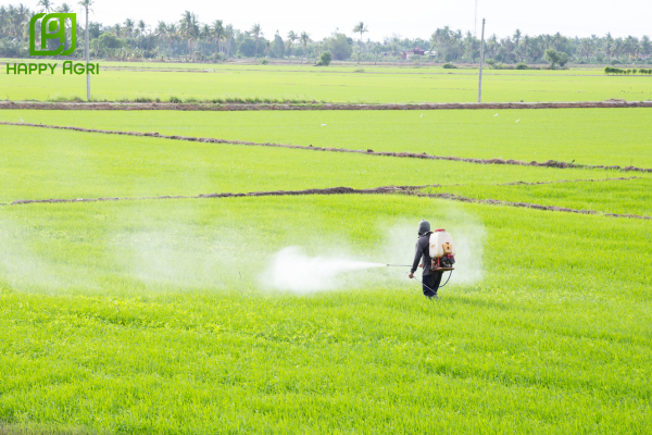 Phun "Đúng lúc" dựa trên Ngưỡng hành động (AT)