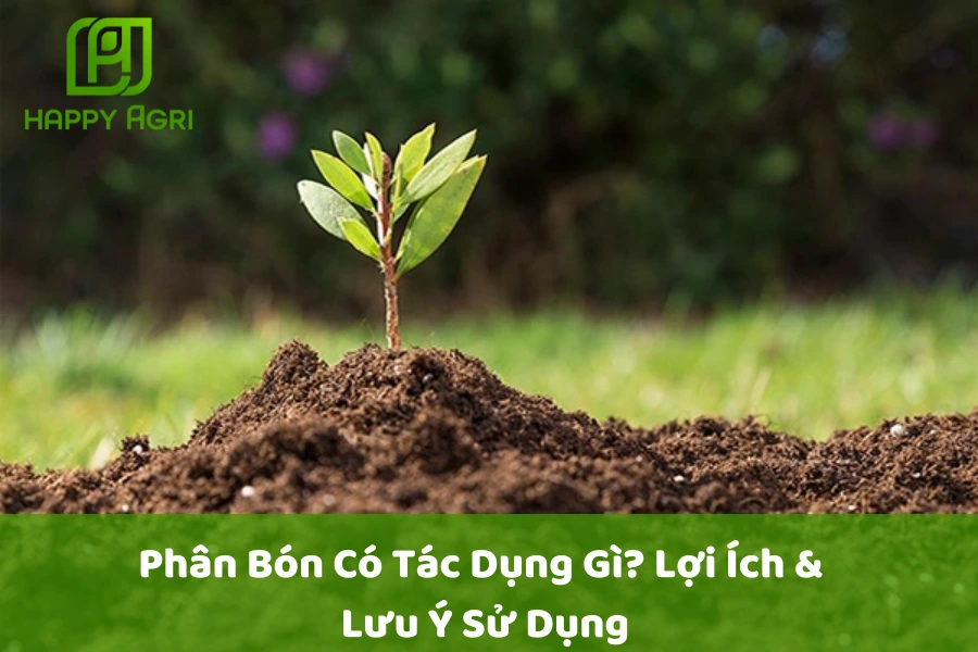 Phân Bón Có Tác Dụng Gì? Lợi Ích & Lưu Ý Sử Dụng