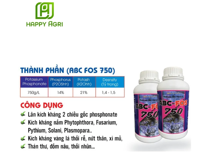 rầy xanh hại khổ qua