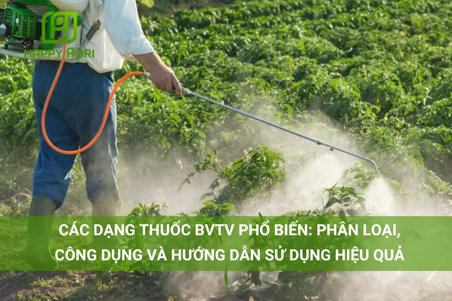 # Các Dạng Thuốc BVTV Phổ Biến: Phân Loại, Công Dụng và Hướng Dẫn Sử Dụng Hiệu Quả