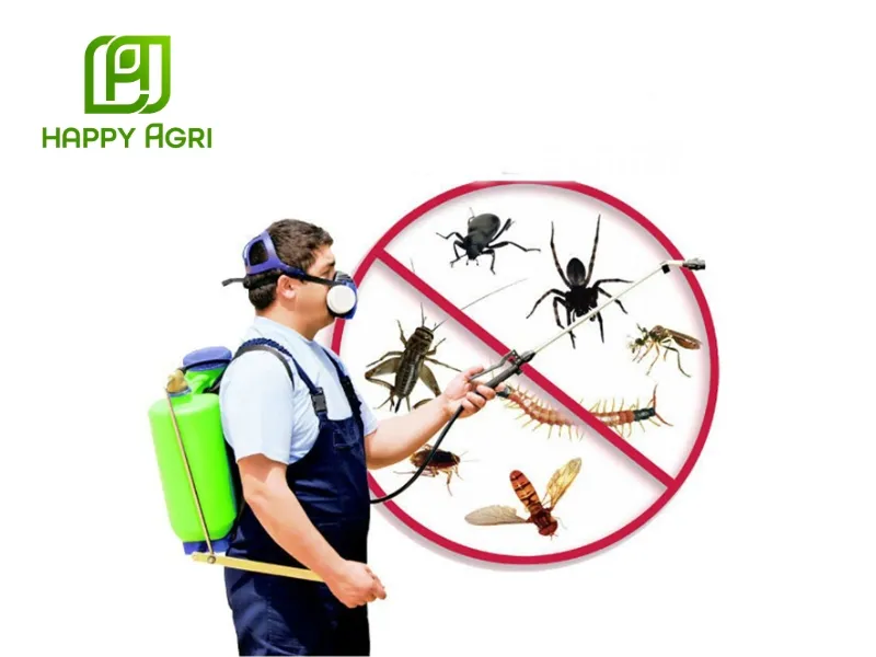 tuân thủ theo hướng dẫn khi phun thuốc diệt côn trùng