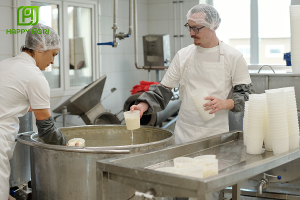 Phân biệt bản chất cốt lõi giữa dạng SC và EC