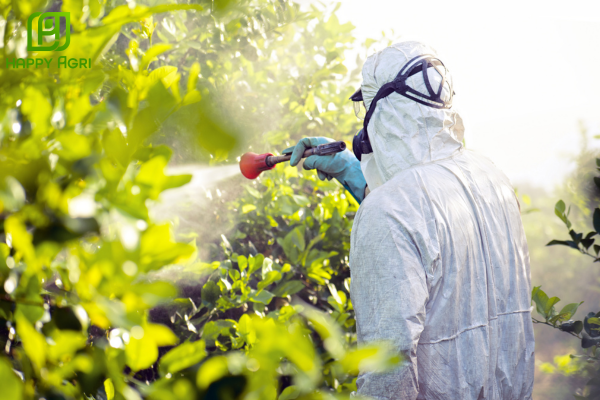 Quy trình kỹ thuật để "Sạch sâu – Mát cây"