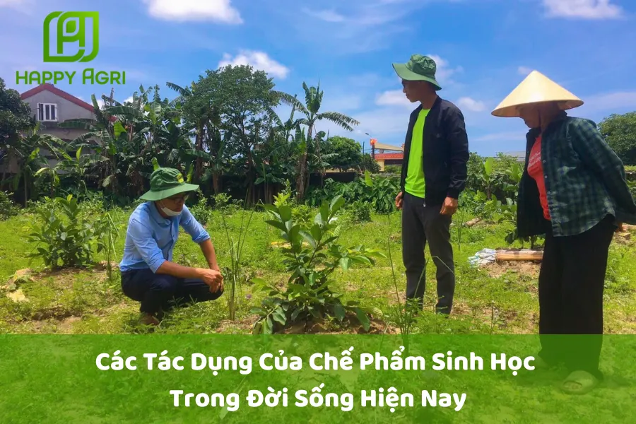 # Các Tác Dụng Của Chế Phẩm Sinh Học Trong Đời Sống Hiện Nay