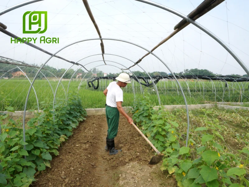 mùa nào sâu bệnh phát triển mạnh nhất