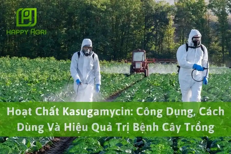 Hoạt Chất Kasugamycin: Công Dụng, Cách Dùng Và Hiệu Quả Trị Bệnh Cây Trồng
