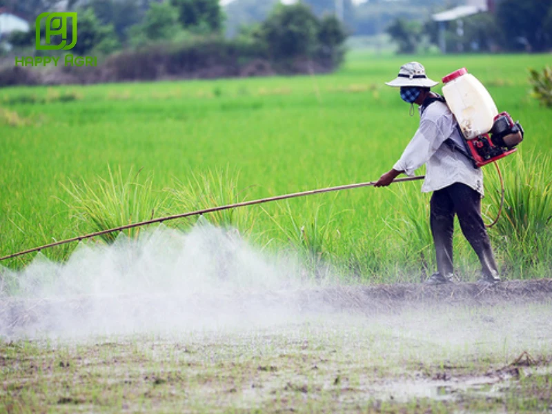 nhện đỏ trên cây có múi