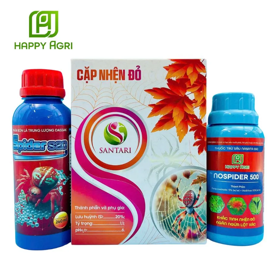 COMBO CẶP NHỆN ĐỎ