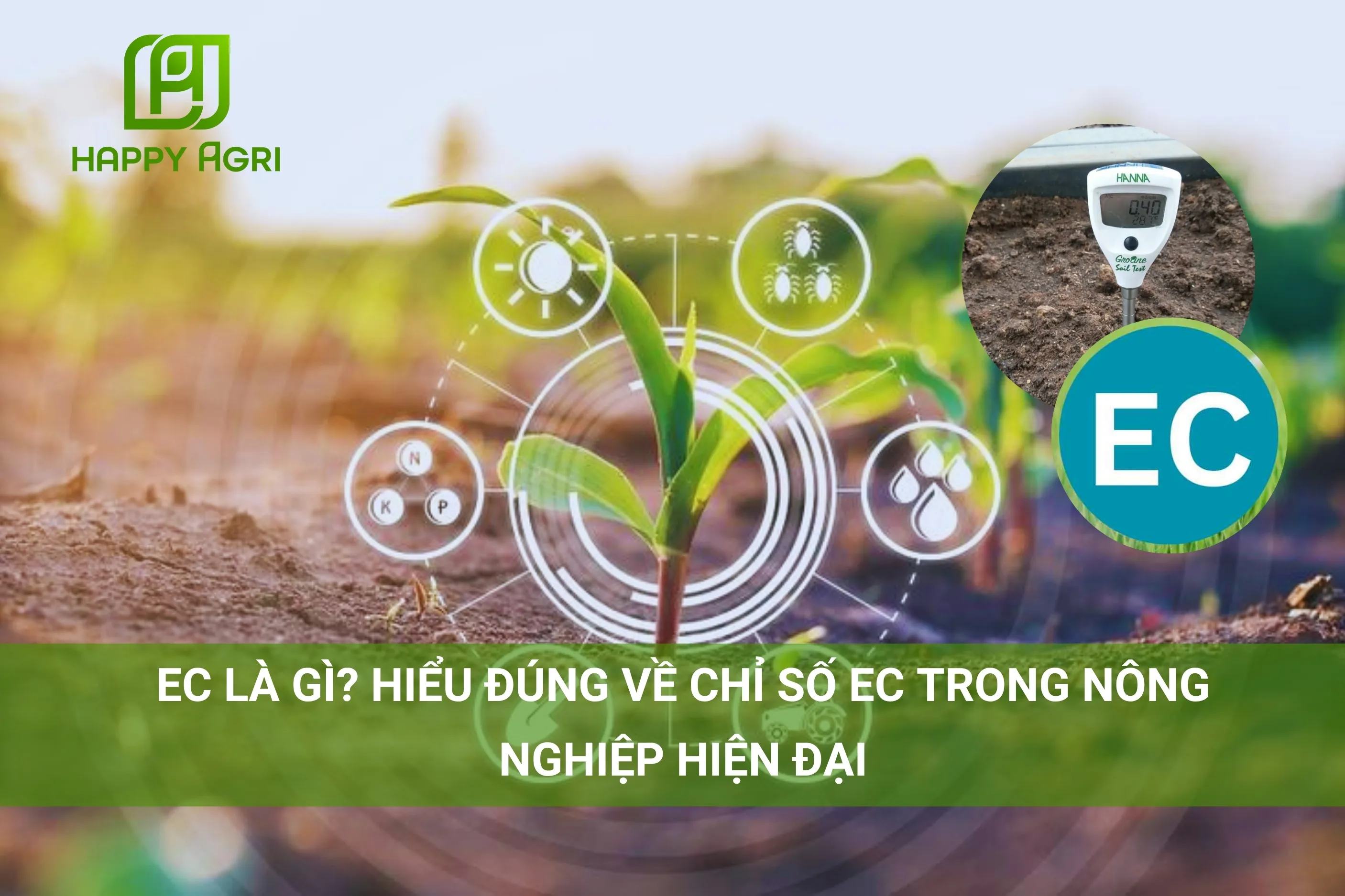 EC LÀ GÌ? HIỂU ĐÚNG VỀ CHỈ SỐ EC TRONG NÔNG NGHIỆP HIỆN ĐẠI
