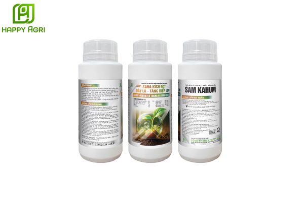 Thông tin chung về phân vùng SAM KAHUM Hiệu SAHA KÍCH ĐỌT – DÀY LÁ – TĂNG DIỆP LỤC