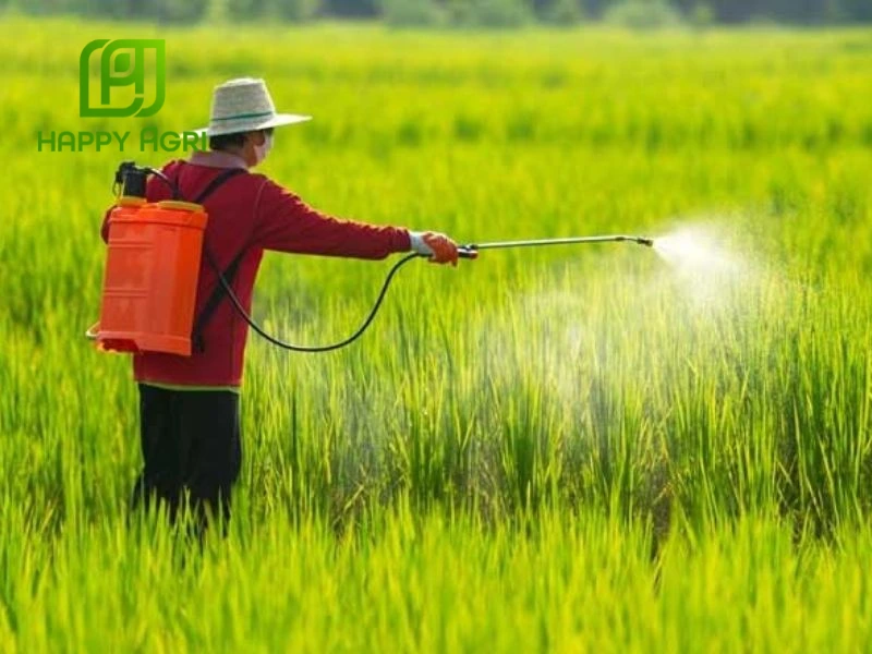 các dạng thuốc BVTV