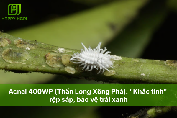 Acnal 400WP (Rồng Lửa): "Khắc tinh" rệp sáp, bảo vệ trái xanh