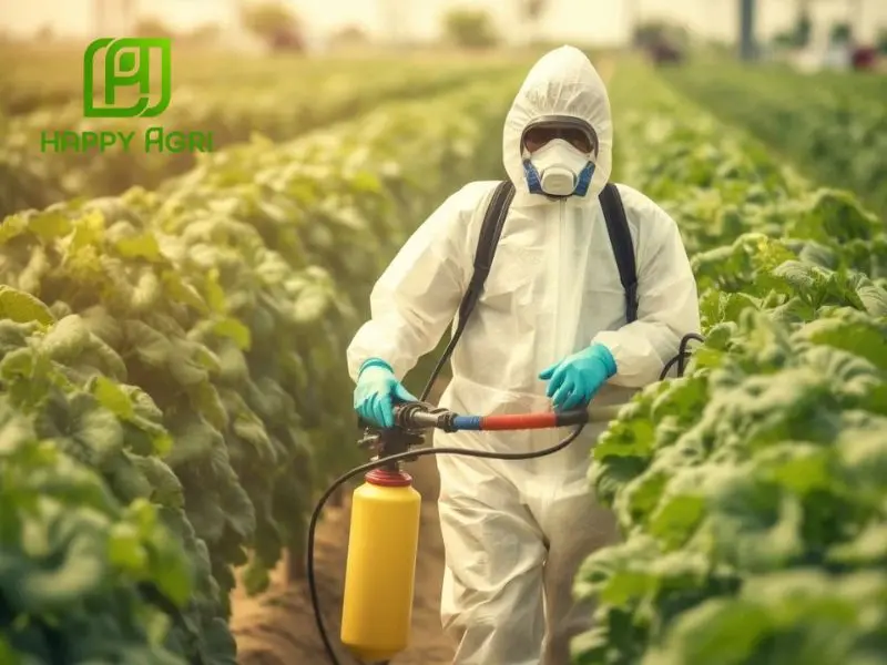 Thuốc trừ bệnh JAVIMIN 20SL là giải pháp diệt khuẩn mạnh