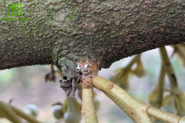  Câu hỏi thường gặp (FAQ)