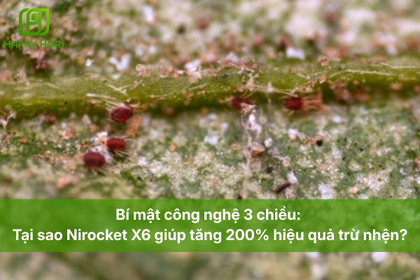 Bí mật công nghệ 3 chiều: Tại sao Nirocket X6 giúp tăng 200% hiệu quả trừ nhện?