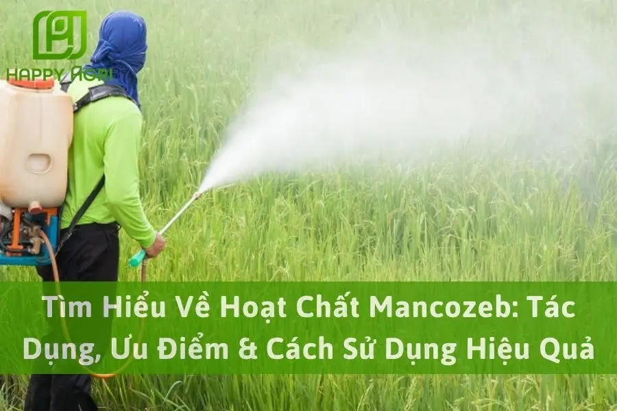 Tìm Hiểu Về Hoạt Chất Mancozeb: Tác Dụng, Ưu Điểm & Cách Sử Dụng Hiệu Quả