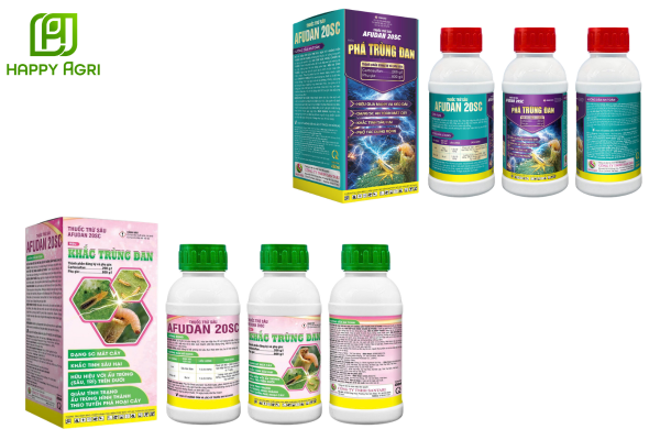 Khắc Trùng Đan và Phá Trùng Đan – Giải pháp lưu dẫn hạt nhân