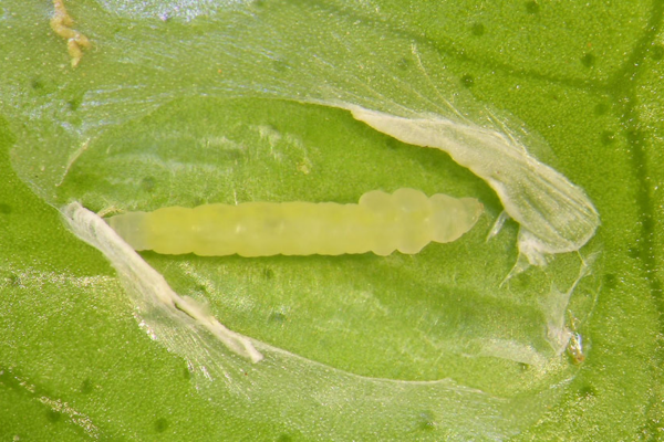 Câu hỏi thường gặp