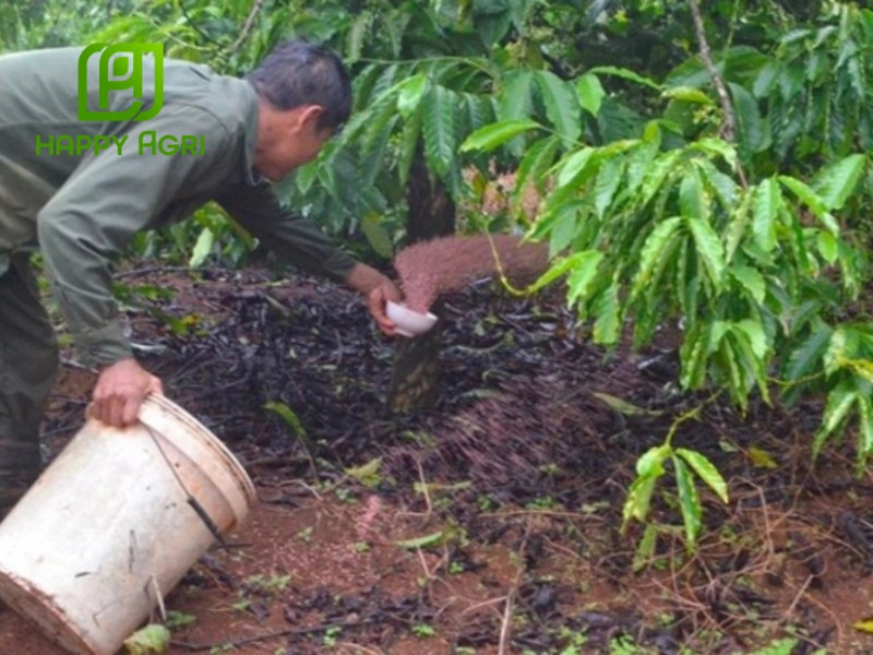 Phân hữu cơ giúp cải thiện đất và cung cấp dinh dưỡng lâu dài