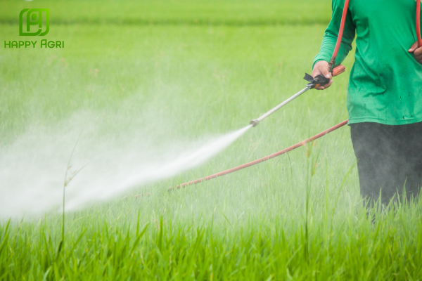 Câu hỏi thường gặp