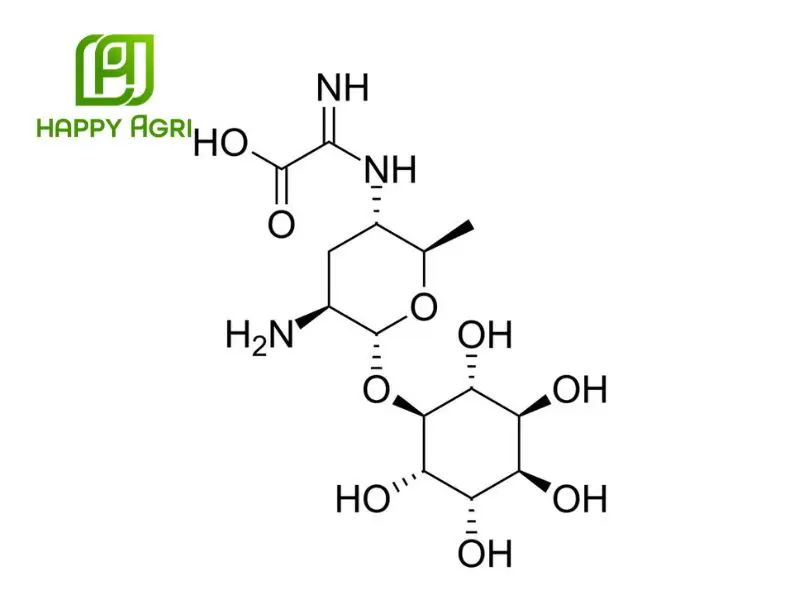 kasugamycin