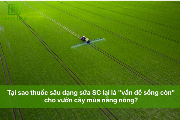 Tại sao thuốc sâu dạng sữa SC lại là "vấn đề sống còn" cho vườn cây mùa nắng nóng?