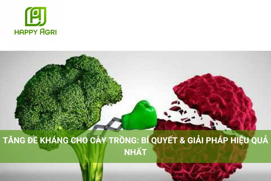 Tăng Đề Kháng Cho Cây Trồng: Bí Quyết & Giải Pháp Hiệu Quả Nhất