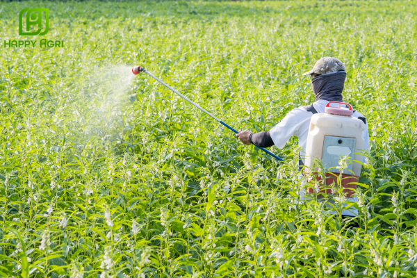 Câu hỏi thường gặp 