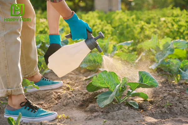 Bản chất công nghệ SC: Tại sao được gọi là "thuốc mát"?