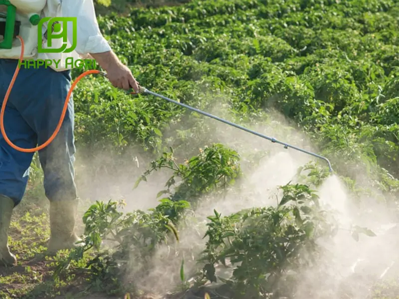 atrazine