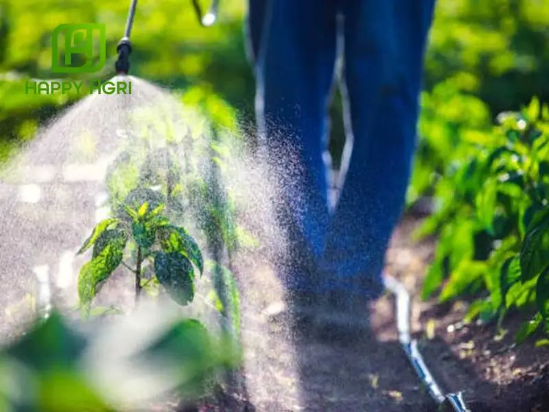 Hướng dẫn sử dụng Buprofezin hiệu quả
