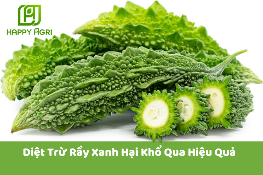 Diệt Trừ Rầy Xanh Hại Khổ Qua Hiệu Quả  